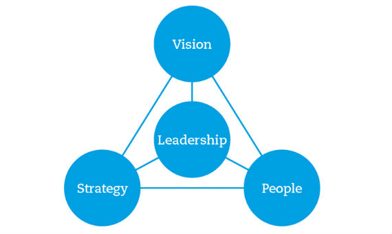 Key components of a robust organisation: vision, strategy and people
