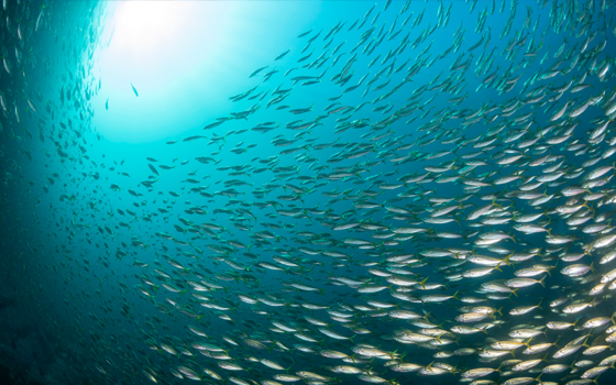 1352455992 1352455992